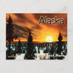 Carte Postale Taïga Sun - Alaska