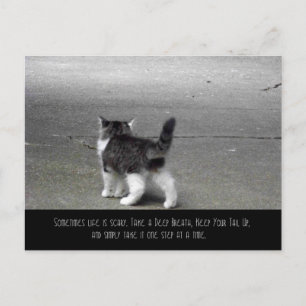 Carte Postale Tail Up (Kitten)