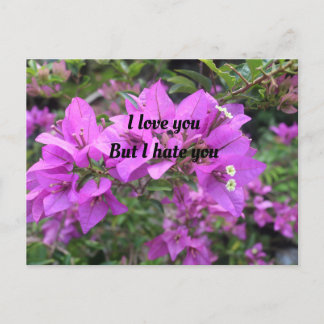 Carte postale, Taille : Carte postale standard, Pa