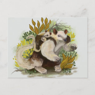 Carte Postale Tamandua Fourmilier