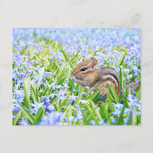 Carte Postale Tamia et fleurs de printemps bleu