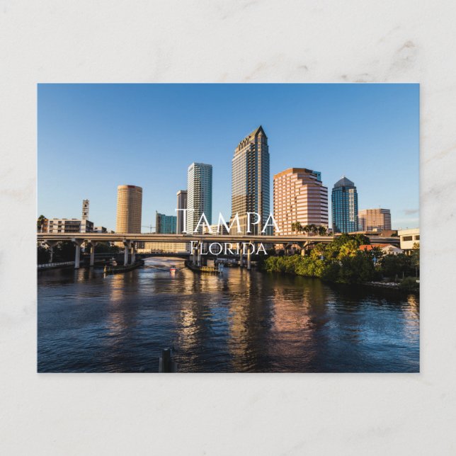 Carte postale Tampa Florida (Devant)