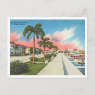 Carte Postale Tampa, Floride Bayshore Drive et Marina vintage