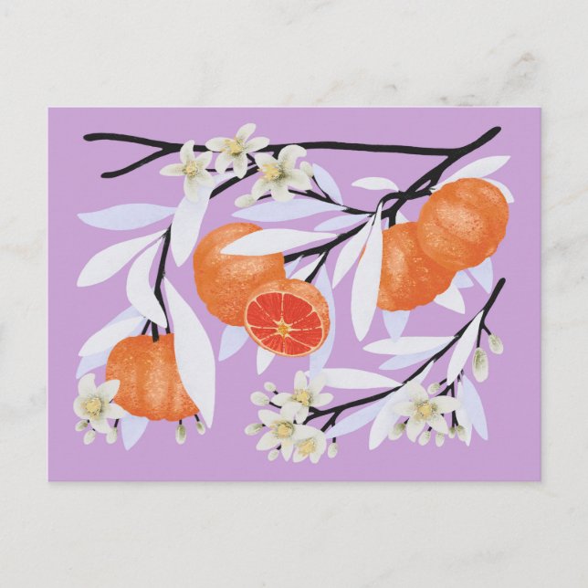 Carte Postale Tangerine Agrumes Branches florissantes Lilac flor (Devant)