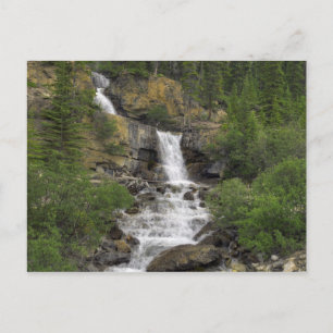 Carte Postale Tangle Falls