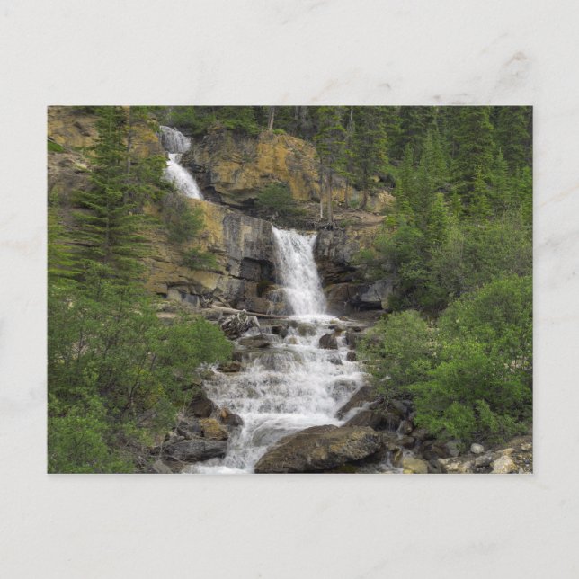 Carte Postale Tangle Falls (Devant)