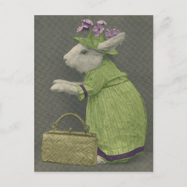 Carte postale Tante Bunny (Devant)