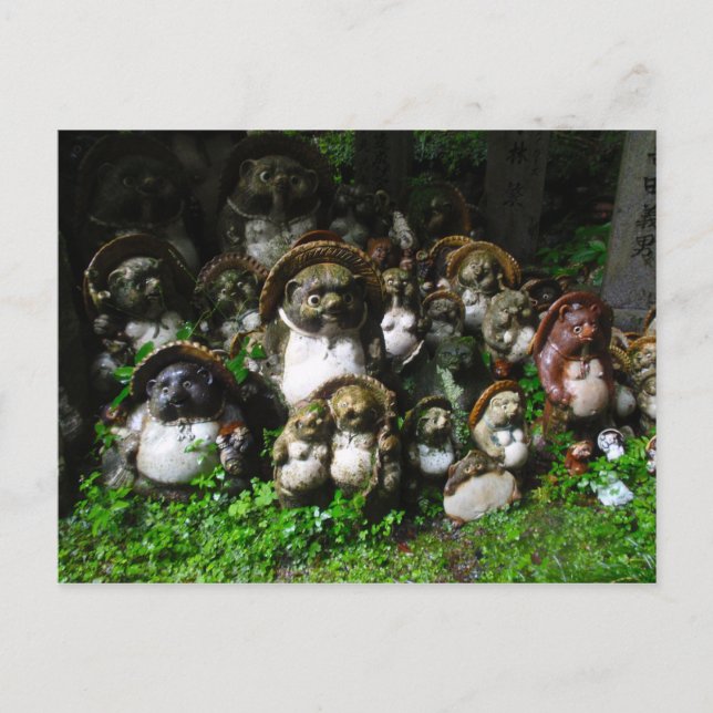 Carte Postale Tanuki (Devant)