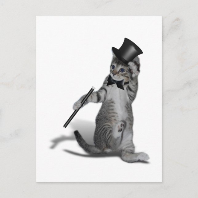 Carte Postale Tap Chat de danse (Devant)