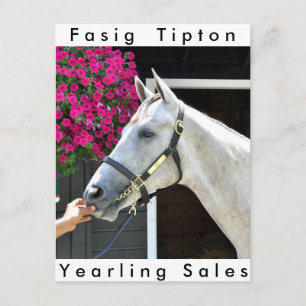 Carte Postale Tapit -Rote Hip no.140