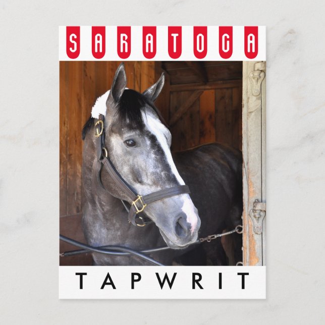 Carte Postale Tapwrit (Devant)