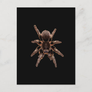 Carte Postale Tarantula