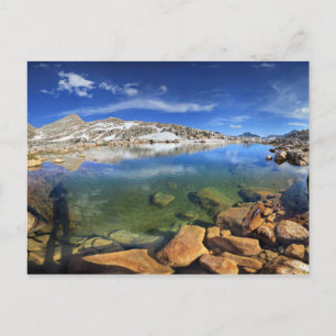 Carte Postale Tarn à l'ours noir - Sierra