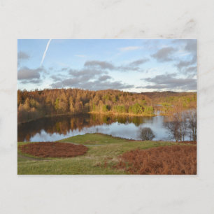 Carte Postale Tarn Hows - District du lac Anglais