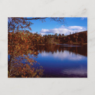 Carte Postale Tarn Hows lumineux jour d'automne Lake District An