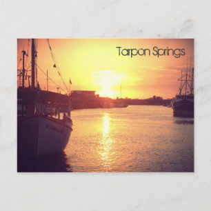 Carte postale Tarpon Springs