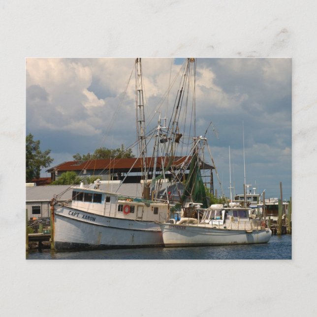 Carte Postale Tarpon Springs, Florida Post Cards (Devant)
