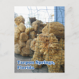 Carte postale Tarpon Springs Sponges