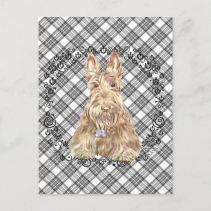 Carte Postale Tartan Scottie Blé