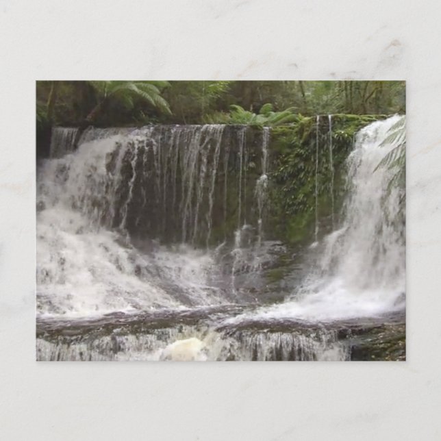 CARTE POSTALE TASMANIE L'AUSTRALIE CASSE DES EAUX RIVIÈRES NATUR (Devant)