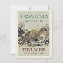 Tasmanie tigre, thylacine, Tasmanie Australie