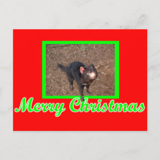 Carte Postale Tassie Devil