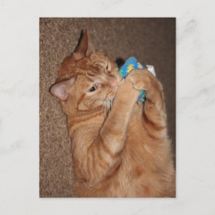 Carte Postale Tater