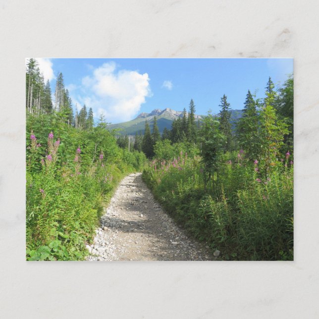 Carte Postale Tatras, Slovaquie (Devant)