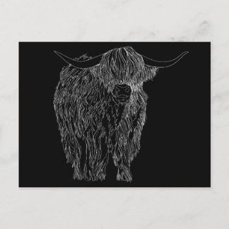 Carte Postale taureau écossais