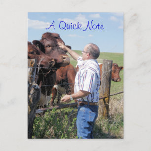 Carte Postale Taureau & Vaches Pinzgauer - personnaliser