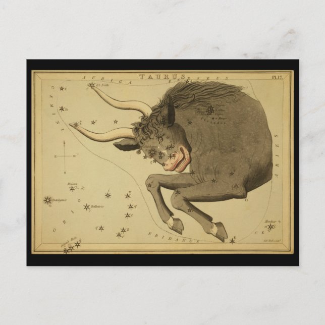 Carte Postale Taurus (Devant)