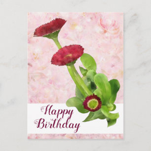 Carte Postale Tausendschön