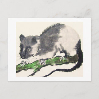 Carte Postale Taux no 09 * Rat * Ratten-Postkarten * Rat-Postc