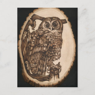 Carte Postale Tawny Owl