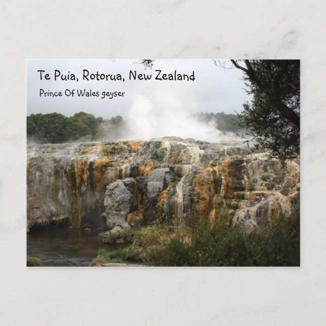 Carte Postale Te Puia, Rotorua, Nouvelle-Zélande (Devant)