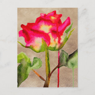 Carte Postale Tea hybride Rose aquarelle moderne fleurie art