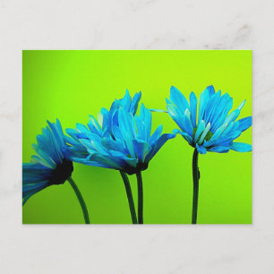 Carte Postale Teal Turquoise Daisies on Lime Green Flower