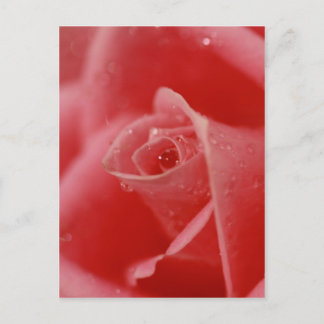 Carte Postale Teardrop dans l'oeil