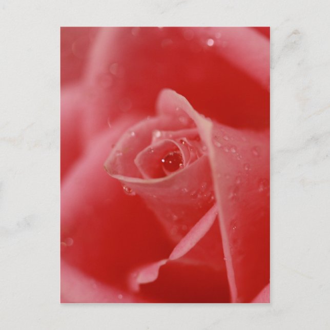 Carte Postale Teardrop dans l'oeil (Devant)