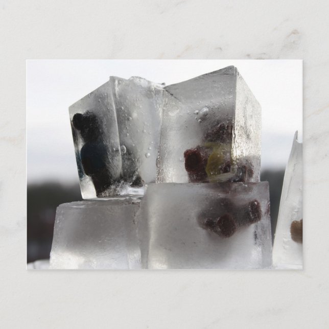 Carte Postale Teddy (Devant)