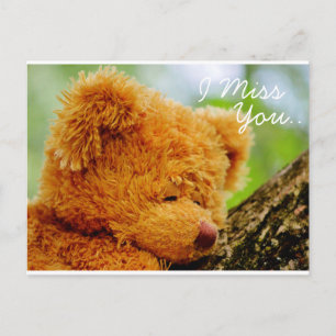 Carte Postale Teddy Bear Je Vous Manque