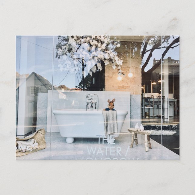 Carte postale Teddy dans Bath (Devant)