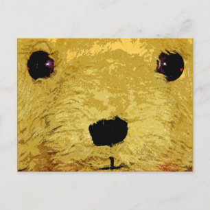 Carte Postale Teddy Face de l'ours