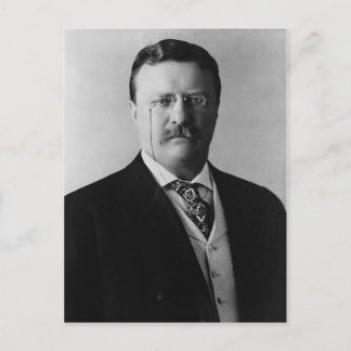 Carte Postale Teddy Roosevelt