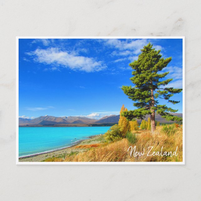Carte Postale tekapo nouvelle-zélande (Devant)