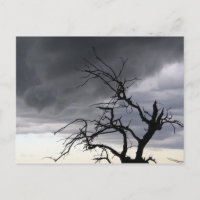 Tempête de Guadalupe