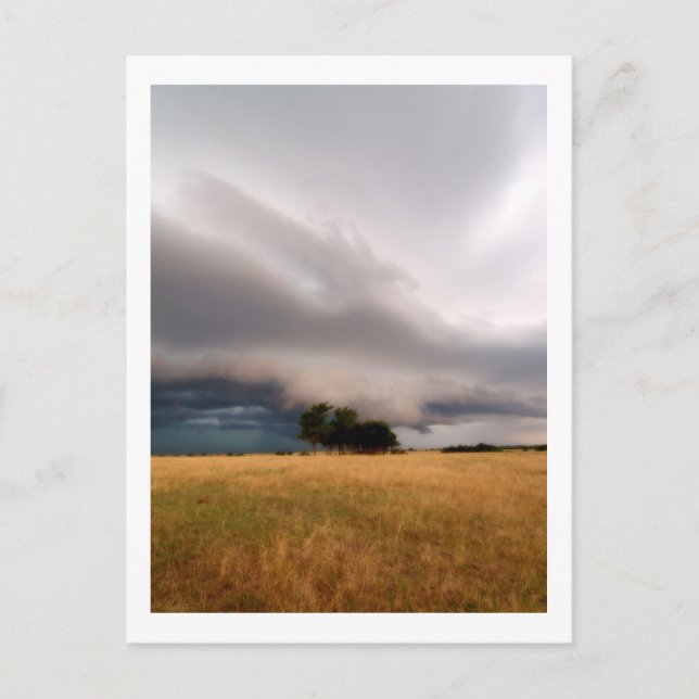 Carte Postale Tempête de l'Oklahoma (Devant)