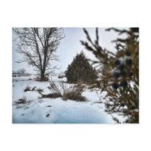 Tempête de neige dans l'hiver du Dakota du Nord