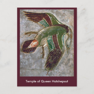 Carte postale : Temple de la reine Hatshepsut