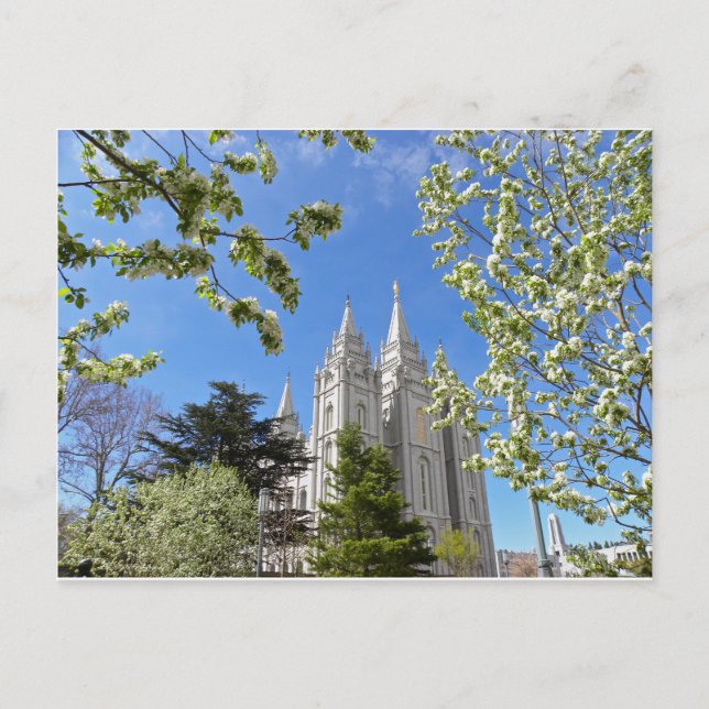 Carte Postale Temple de Salt Lake City au printemps. (Devant)